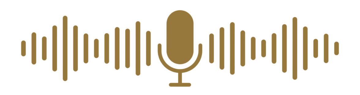 Audio divider brown